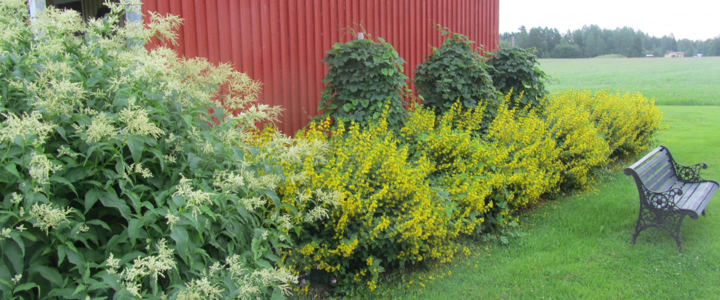 Kinnula Eläkeliitto